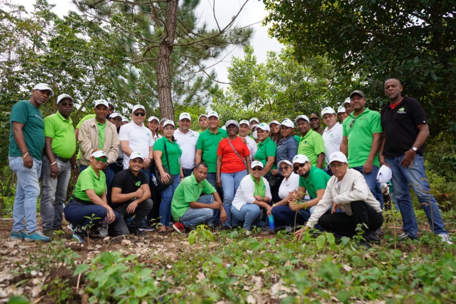 Colaboradores de la OMSA siembran dos mil árboles durante jornada de reforestación en Monte Plata